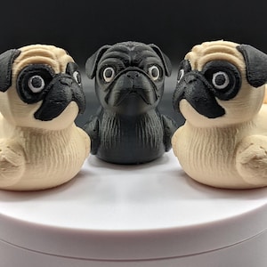 The Fabulous Pug Dog Duck