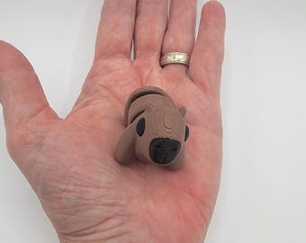 Adorable Baby Capybara Fidget