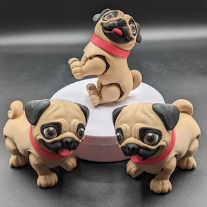Precious Articulated Pug Puppy