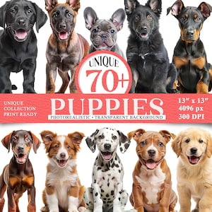 Lot de chiots chiens uniques PNG, animaux photoréalistes, sublimation de chiots, pour autocollants Cricut, POD, race de chiots Bootleg
