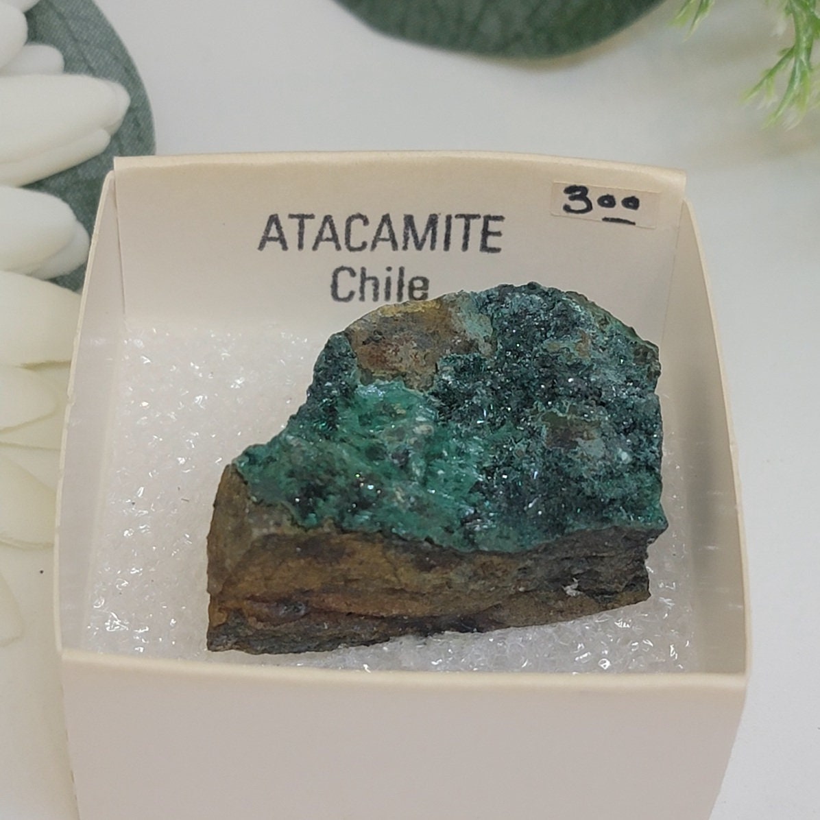 Polished Atacamite