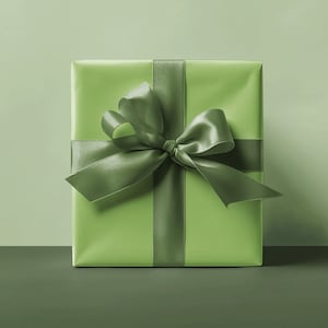 Carta da regalo mela verde tinta unita Carta da regalo mela verde Confezione regalo verde Carta verde tinta unita Confezione regalo natalizia Rotolo premium verde lime