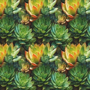 Carta da regalo succulenta Carta da regalo per giardino botanico di cactus Stampa floreale Amante della natura Carta verde e gialla Aloe Vera sudoccidentale