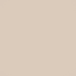 Solid Color Sand Dollar Tan Wrapping Paper – Tropical Roll (105 GSM) image 7
