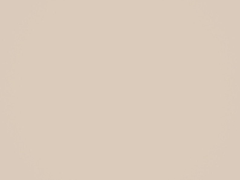 Solid Color Sand Dollar Tan Wrapping Paper – Tropical Roll (105 GSM) image 7