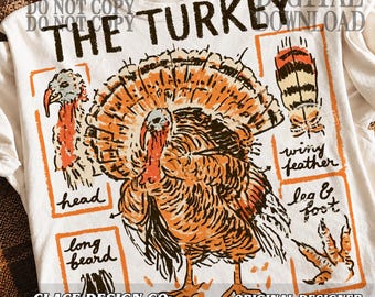 Turkey Hunting PNG: Wild Turkey Anatomy Study, Vintage Field-Guide Sublimation Illustration, Outdoorsman Digital Download