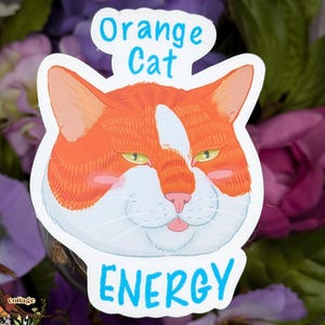 Orange Cat Energy, Silly Cat Lover Vinyl Sticker for Laptop or Tablet