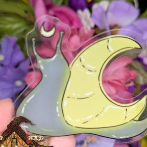 Lunar Snail CLEAR Sticker, Goblincore, Natur Sticker, Vinyl Sticker für Laptop oder Wasserflasche