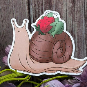 Cute Frog Riding Snail Vinyl Sticker for Laptop or Water Bottle