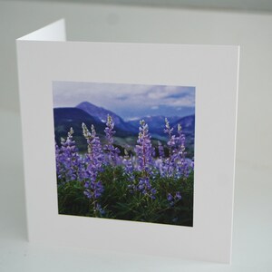 Colorado Summer Collection Grußkarten, 5er Pack, BLANK INSIDE