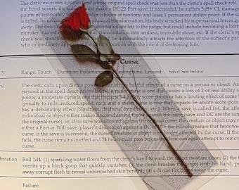 Rose - Clear Bookmark