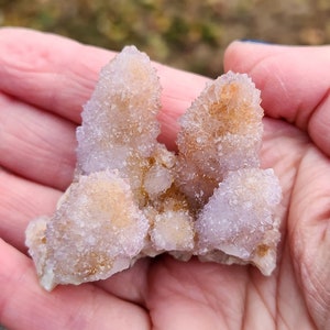 AAA Ametrine Spirit Quartz Cluster: South African Cactus Crystal