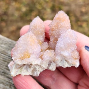 AAA Ametrine Spirit Quartz Cluster: South African Cactus Crystal