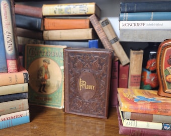 Set of 10 Vintage Books Hardcover, Book Set, Collection Customizable by Color, Bookshelf Decor, Dust Jackets, Antique, Unique, Farmhouse