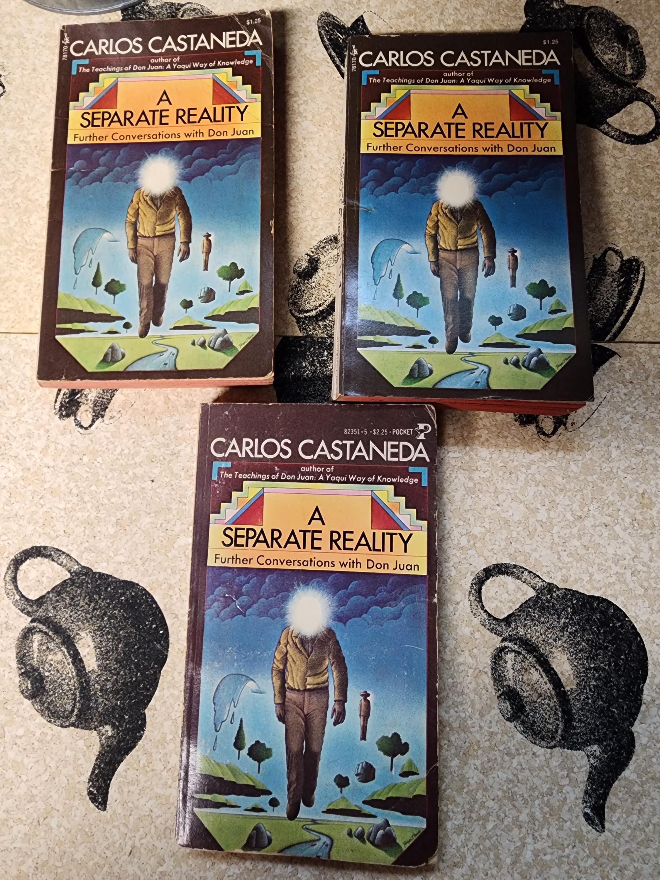 Carlos Castaneda フランス語著作 8冊セット Carlos Castaneda Books - Etsy