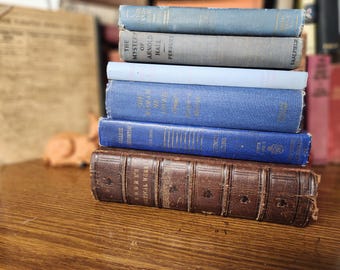 Set of 5 Vintage Blue, Navy, Aqua Toned Vintage Books, books for decor, hardcover books, classic literature, book stacks, set decoration