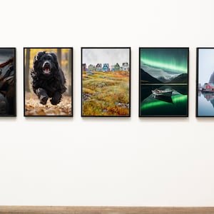 PAKIET Newfoundland | Pobieranie cyfrowe | Plakaty cyfrowe Newfoundland | Kultura kanadyjska
