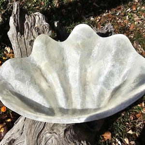May include: A large, pearlescent white clam shell-shaped decorative bowl. The bowl has a textured surface and a scalloped edge. The bowl is resting on a weathered, gray tree trunk, with autumn leaves and flowers in the background.