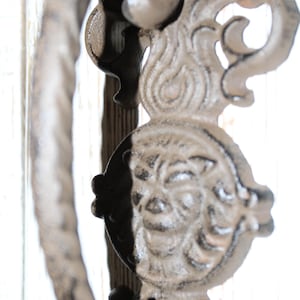 May include: A dark brown metal door knocker featuring a central circular medallion with a sculpted lion face relief. The design includes ornate, swirling scrollwork extending above and below the lion head, with a curved, textured handle.