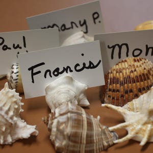 May include: A collection of seashells used as place card holders. Each card is white with a name written in black ink. The seashells vary in size, shape, and color, with some displaying intricate patterns. The arrangement is on a brown surface.