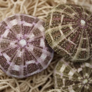 May include: Three purple and white sea urchins with a patterned design, sitting on a beige woven surface.