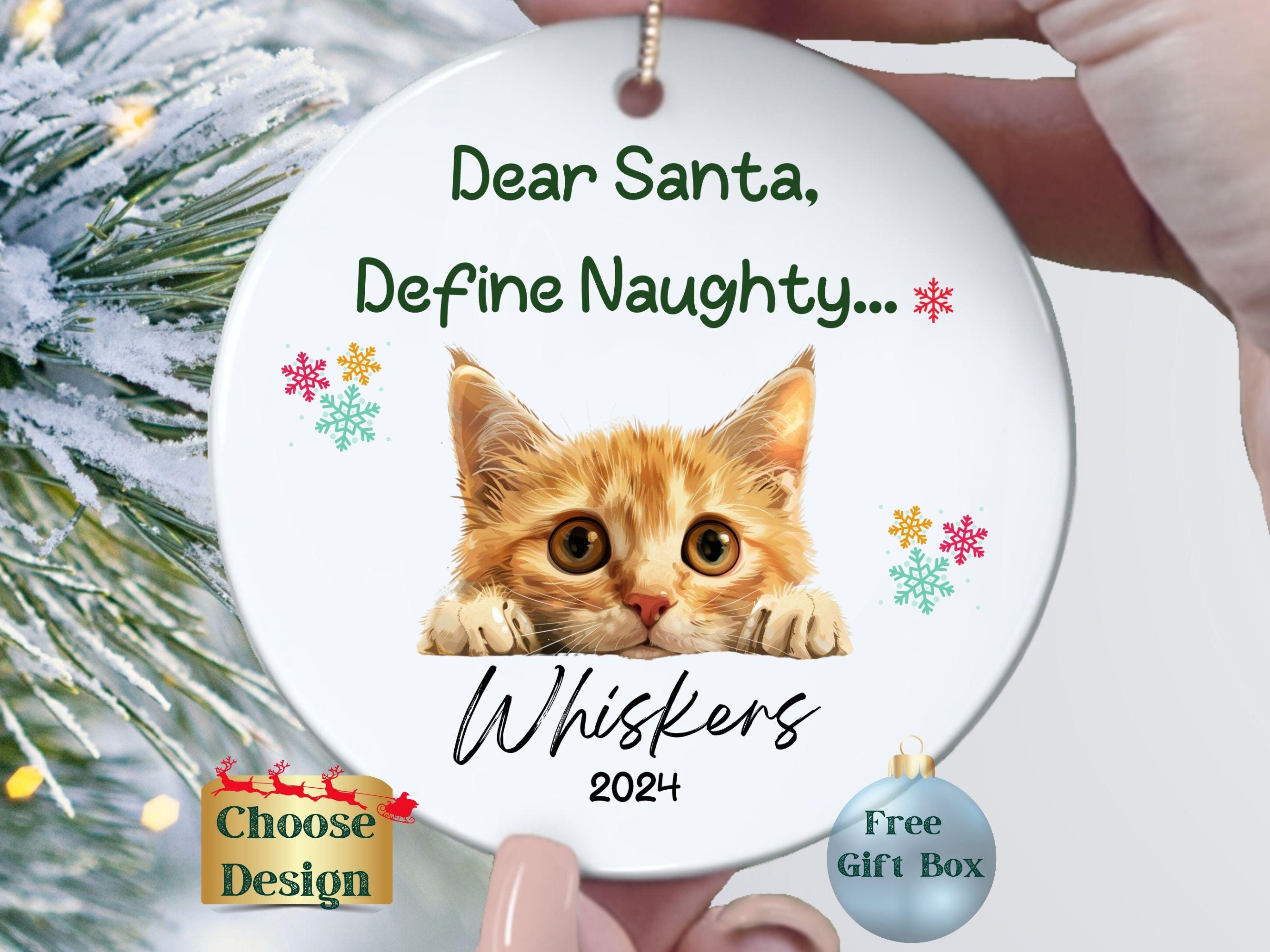Funny Cat Christmas Keepsake Ornament, Custom Funny Christmas Cat Lover Gift, Dear Santa Cat Photo Ornament, Funny Ornament Cat Mom Gift