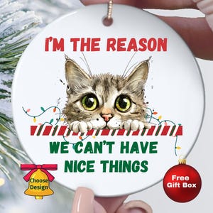 Funny Cat Gift Christmas Ornament for Cat Lover, Cat Mom Ornament for Christmas with Choice of Designs, Holiday Ornament Gift for Cat Owners