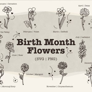 Paquete de flores SVG del mes de nacimiento // SVG de flores // SVG floral // SVG botánico // Gráficos vectoriales de flores /// SVG de calendario