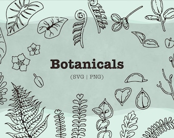 Botanical SVG Bundle: Hand-Drawn Plants & Leaves (PNG)
