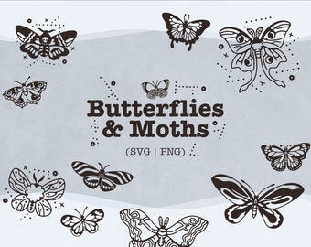 Butterflies and Moths SVG Bundle || PNG || Cut Files || Vectors || Cricut || Silhouette