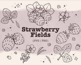 Strawberry Svg Bundle || Berry Svg || Strawberry Svg || Fruit Svg || Summertime Svg