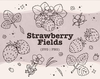 Strawberry SVG Bundle: Hand-Drawn Berry Graphics (SVG/PNG)
