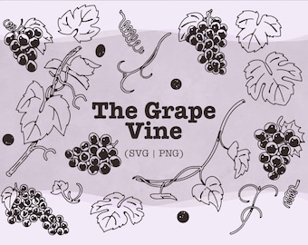 Grape SVG Bundle: Hand-Drawn Vine Graphics (PNG, SVG)