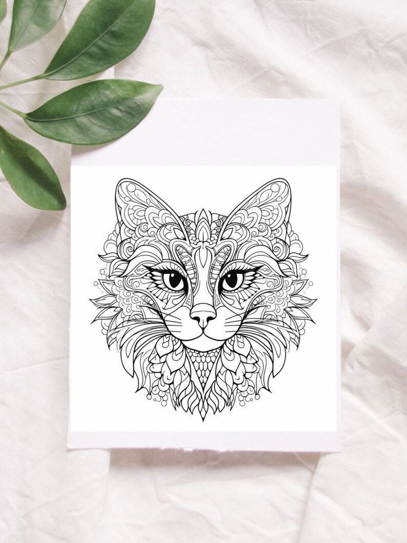 50 Cats Mandalas Coloring Pages for Instant Download Adults Kids