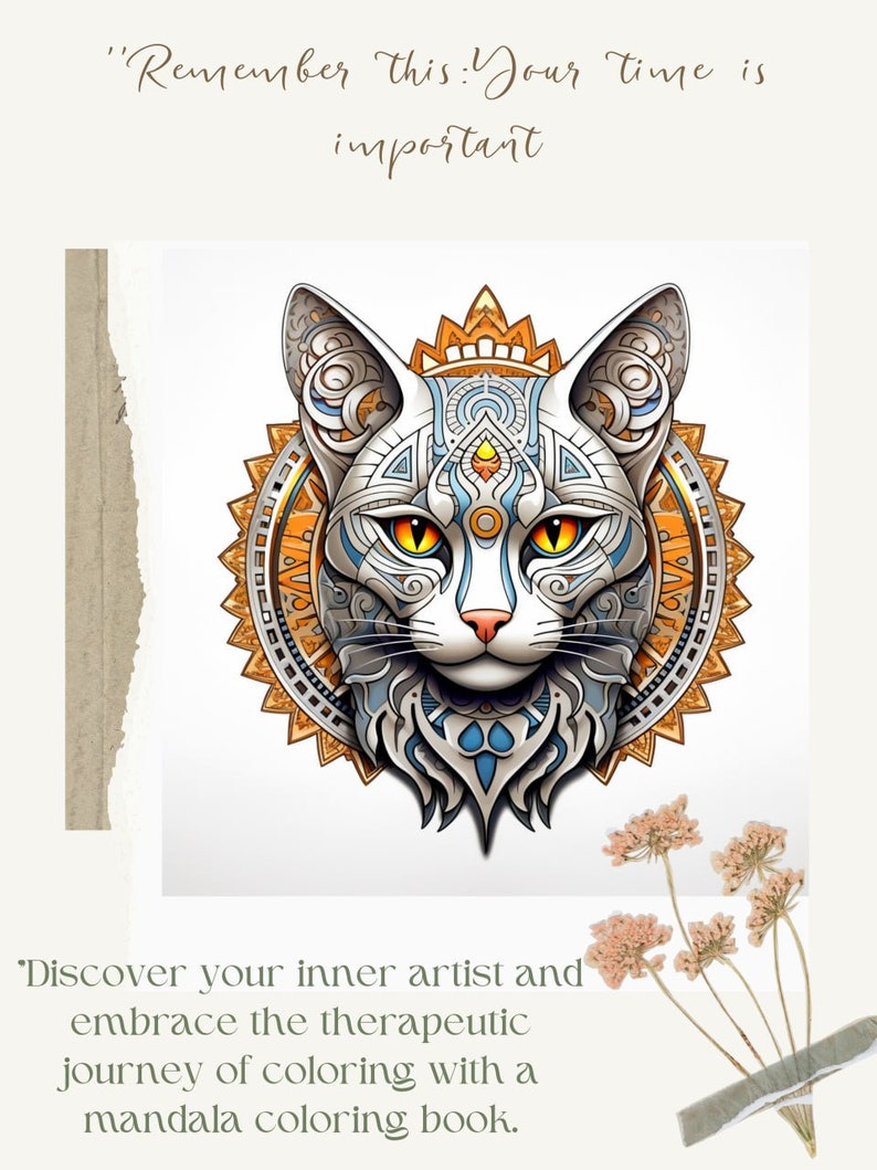 50 Cats Mandalas Coloring Pages for Instant Download Adults Kids