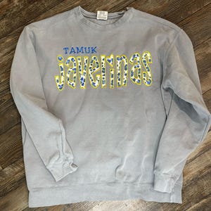 Custom School Spirit Sweatshirt for Women, Applique Team Sweatshirt, Embroidered School Sweatshirt, Game Day Sweatshirt, Teacher Sweatshirt