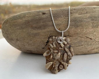 Unique River Fossil Necklace