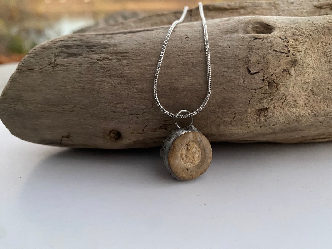 Crinoid necklace Clearance