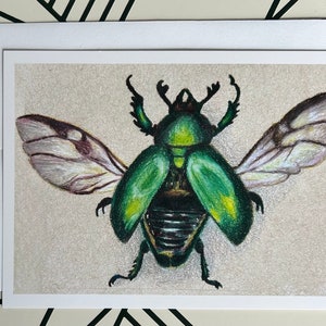 Green Beetle Card