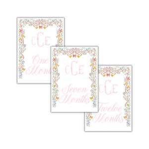 Tarjetas de hitos mensuales de mariposas y flores, tarjetas de hitos para niñas, tarjetas de hitos, regalos de baby shower