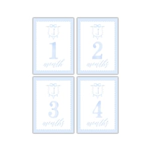 Cartes d'étape mensuelles bleues aquarelles pour bébé garçon