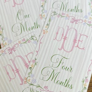 Cartes d'étape mensuelles pour bébé fille / Fleurs aquarelles / Cartes d'étape roses / Monogramme bébé personnalisé / Cartes d'étape roses à fines rayures