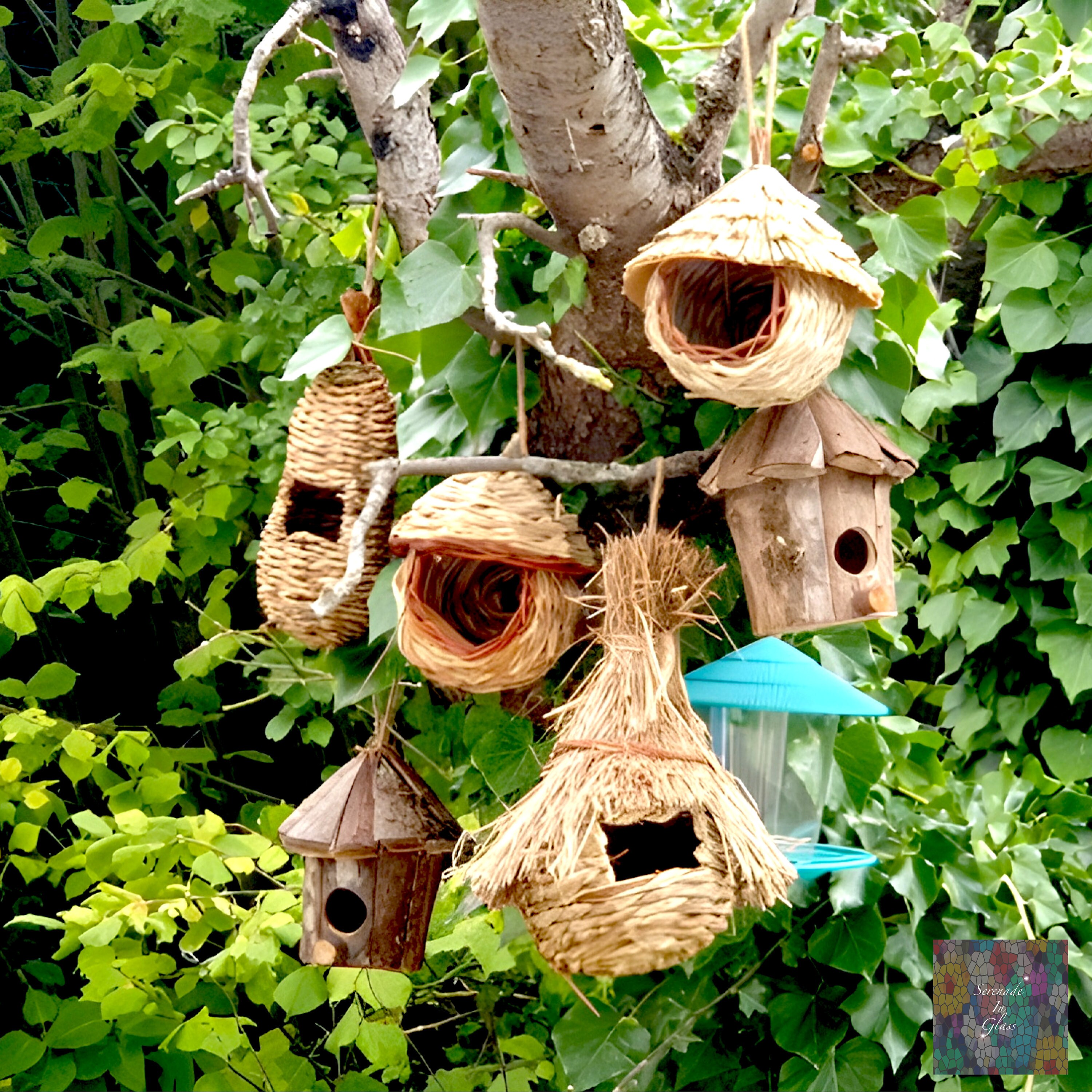 Décor de nid de colibris, Nid de colibri tissé à la main - Nid d'oiseaux  Cages à oiseaux Nid Herbe Oiseau pour fenêtre de jardin Décoration de  pelouse de maison extérieure