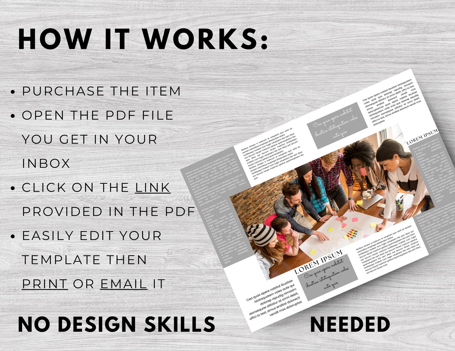 Er Newsletter Editable Newsletter Template: Canva Email Marketing (digital Download ...
