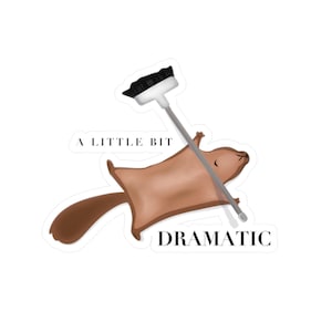 Ein bisschen dramatisch, niedlicher Aufkleber, lustiger Aufkleber, Eichhörnchen Aufkleber, Tieraufkleber, Laptop Aufkleber, Geschenk, Wasserflasche