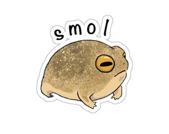 Naklejka Cute Desert Rain Frog, zabawny mem ze zwierzętami, naklejka na butelkę z wodą, naklejka na laptopa, wściekła żaba