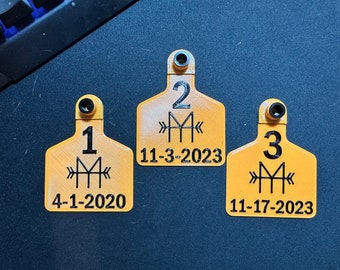 Op de afbeelding: Drie gele kunststof oorkleppen voor vee met zwarte nummers en een zwart symbool. De oorkleppen zijn genummerd 1, 2 en 3. De datums 4-1-2020, 11-3-2023 en 11-17-2023 zijn op de oorkleppen gedrukt.