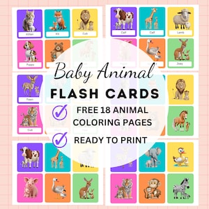 Animals Flash Cards, Animals Printable Cards, Preschool Animals Flash Cards, Homeschool, Educational Flashcards + FREE Coloring Pages