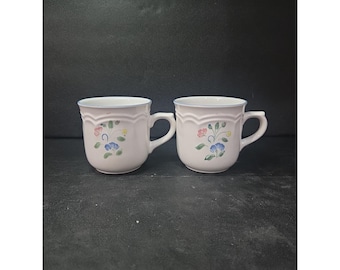 Floral Expressions Stoneware Coffee Mugs, Set of 2, Vintage Japanese Tea Cups, Collectible Drinkware