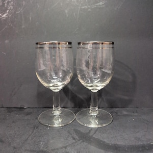 Silver Rimmed Cocktail Glasses Vintage Stemware Set of 2, Midcentury Barware Glassware, 4 Oz Capacity Glasses